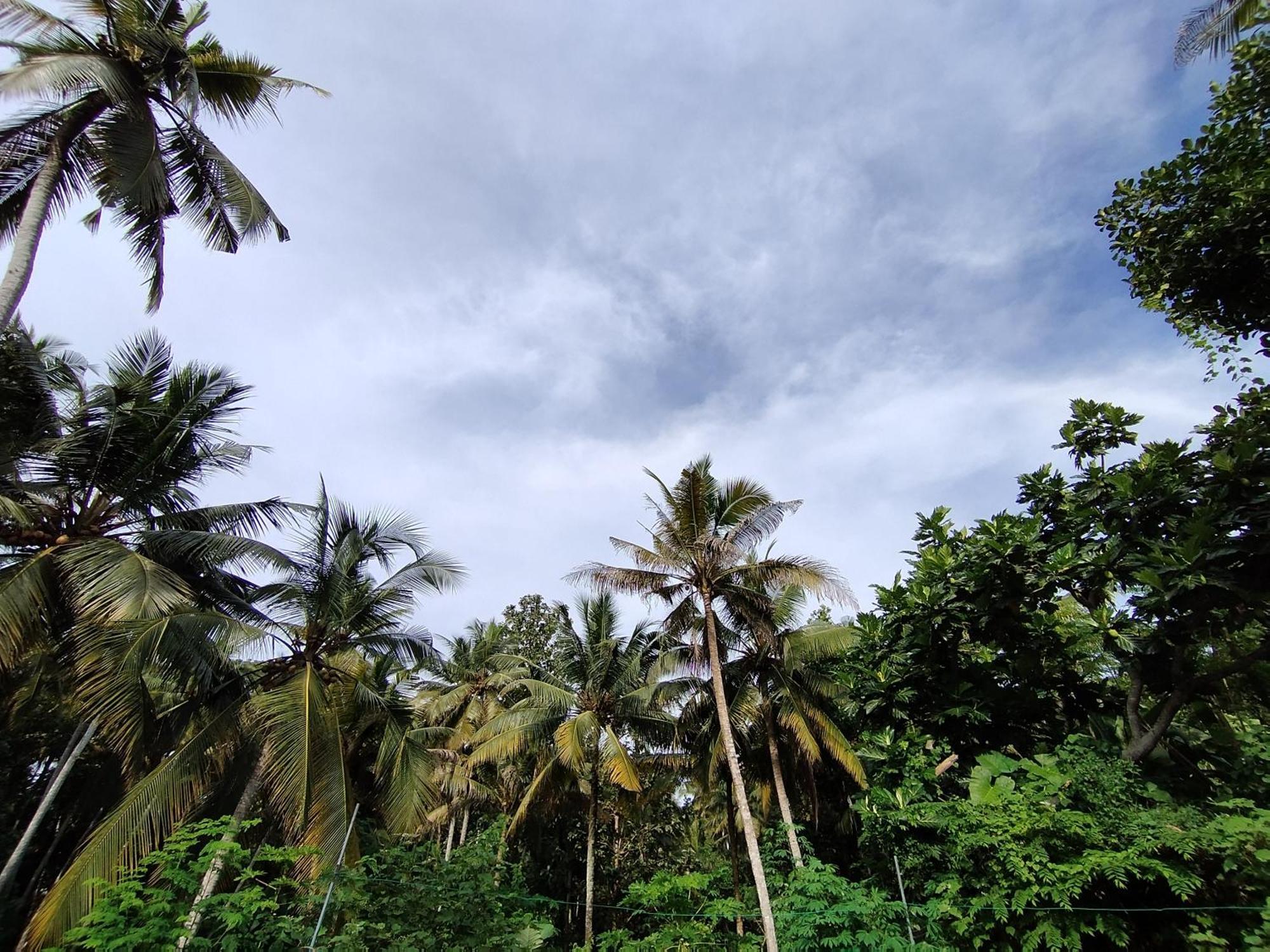 Greenview Kovalam * Thiruvananthapuram