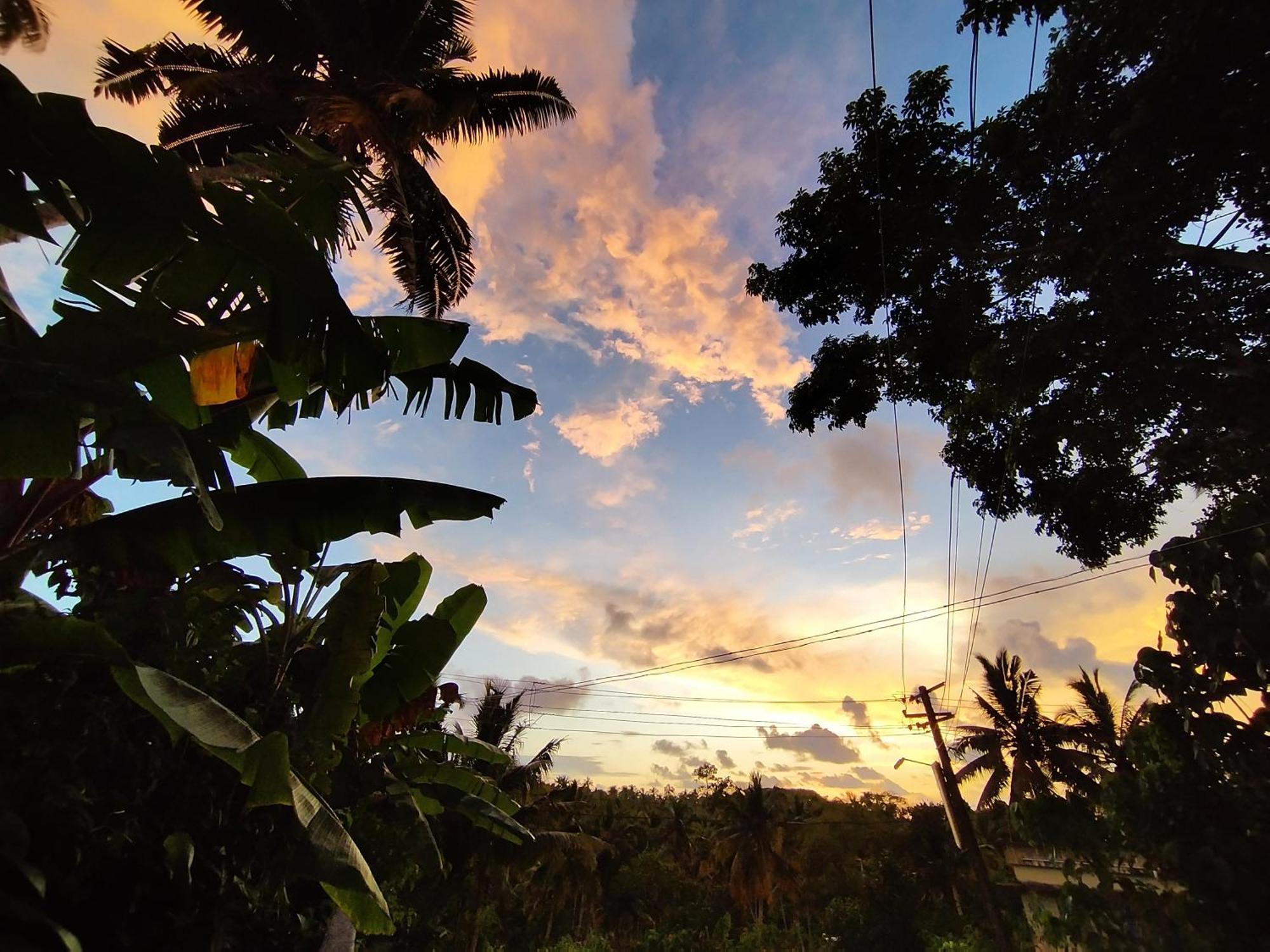 Greenview Kovalam Homestay Thiruvananthapuram