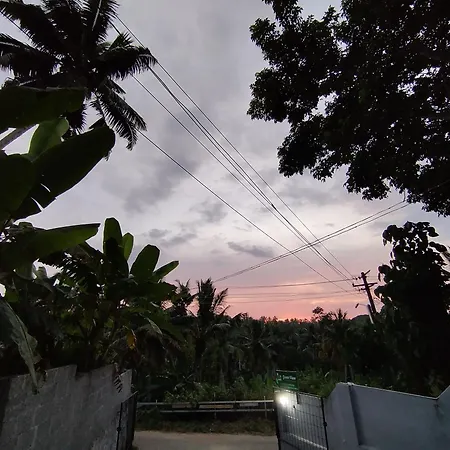 Greenview Homestay Kovalam Thiruvananthapuram Exterior photo