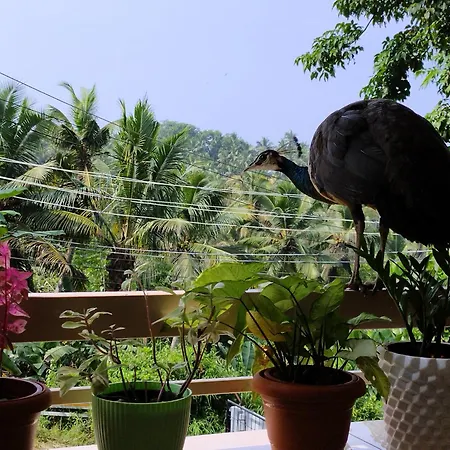 Greenview Homestay Kovalam Thiruvananthapuram Exterior photo
